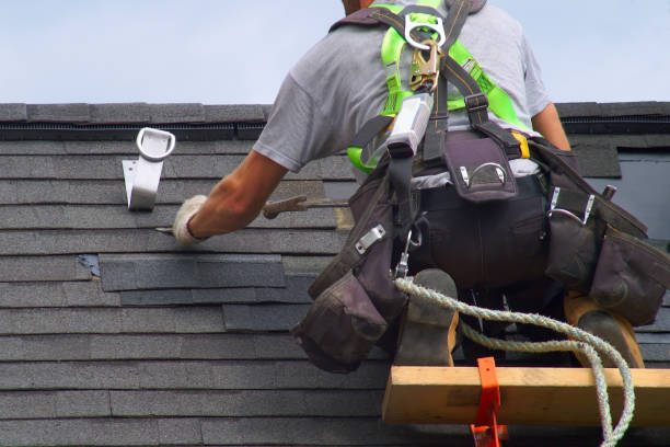 Best Roof Moss and Algae Removal  in Easley, SC